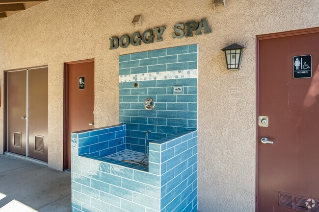 Doggy Spa