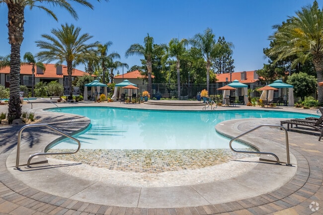 Resort-Style Pool and Amenities - Corona Pointe Resort