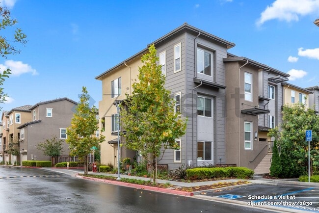 Photo - 1937 Cadence Ln Townhome