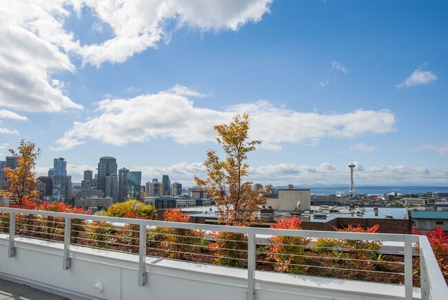 Photo - The Local 418