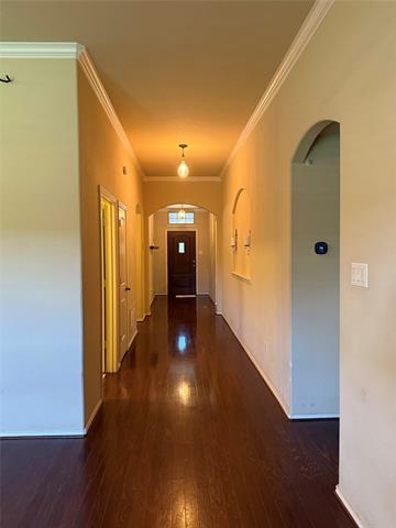 Photo - 11617 Summer Springs Dr