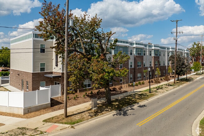 The Greenwood - The Greenwood