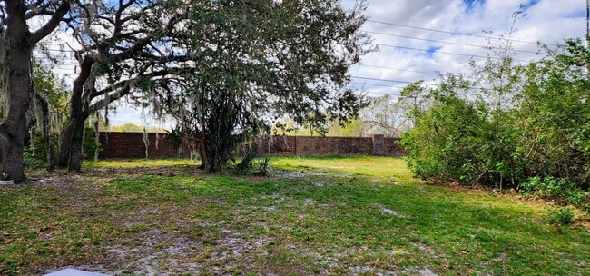 Patio trasero - 4002 Bolinas Ct