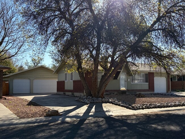 Building Photo - 1413 Chatam Dr