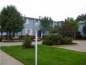 Photo - The Blue Fox