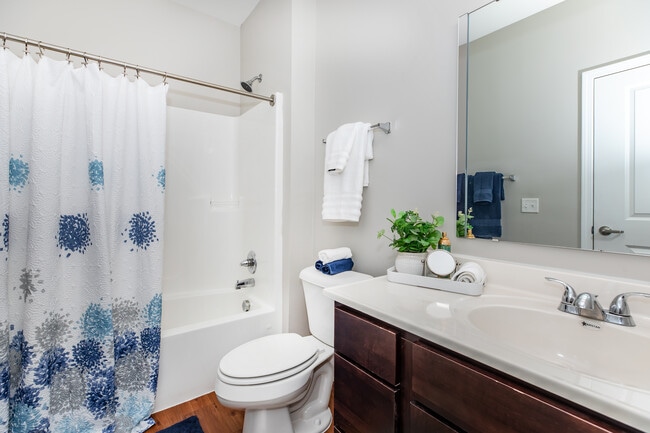 Photo - Vivio on Tenth