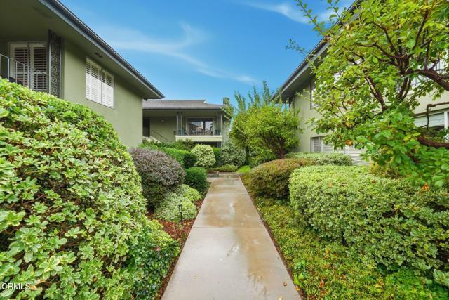 Photo - 313 S Orange Grove Blvd Rental