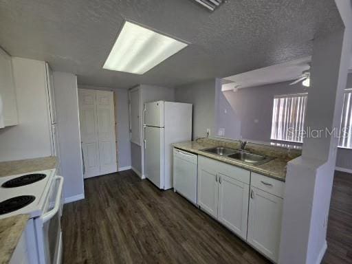 Photo - 103 Coconut Palm Way