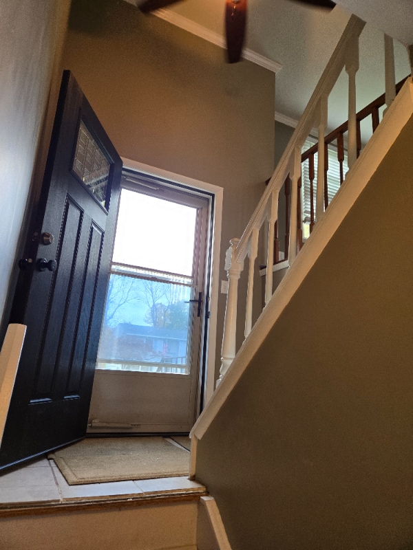 Photo - 207 Old Cove Rd