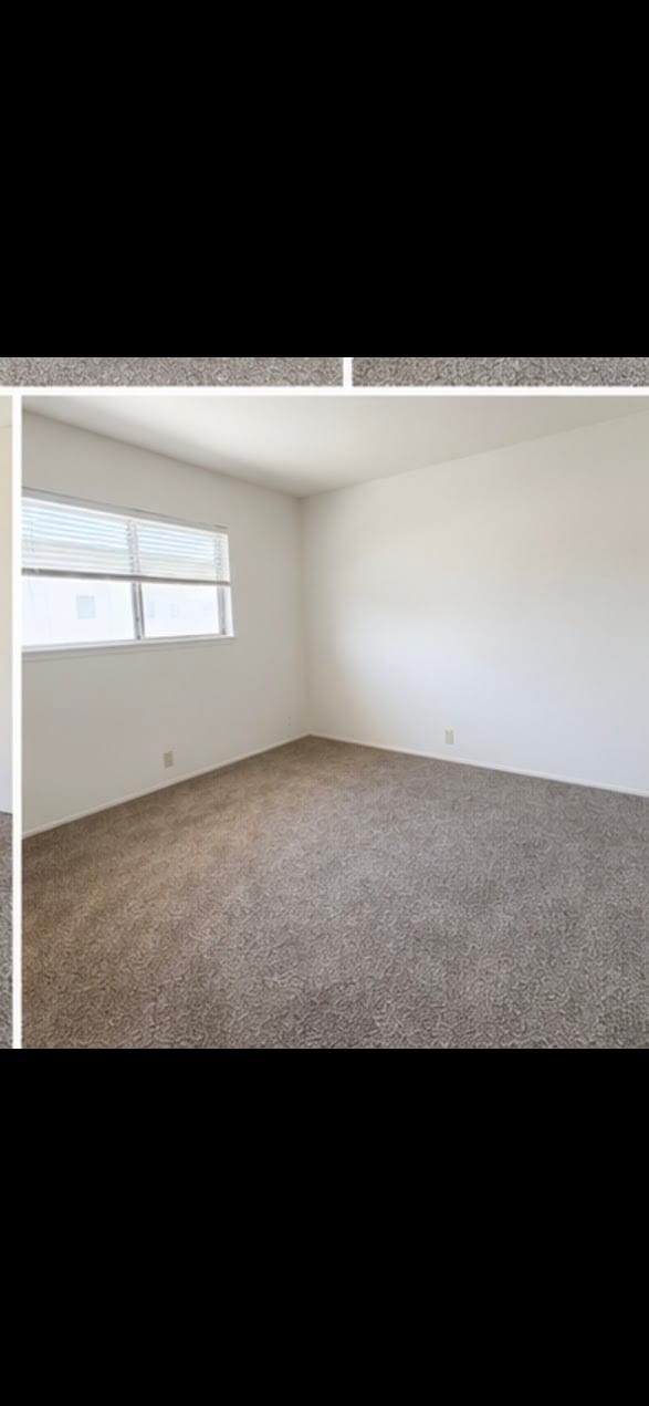 3002 Magliocco Dr