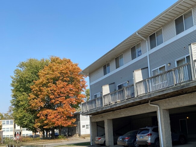 Building Photo - 905 W Springfield Ave Rental