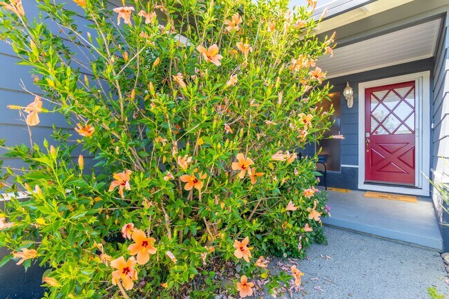 Photo - 10 Month FURNISHED Lease: Bring Indoor/Outdoor Living HOME with this 3bd+/2.5ba plus Pool & Hot Tub