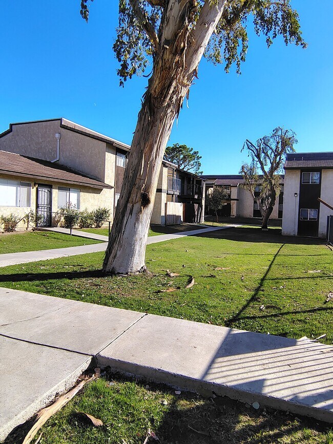 2401 Christmas Tree Ln Unit 013
