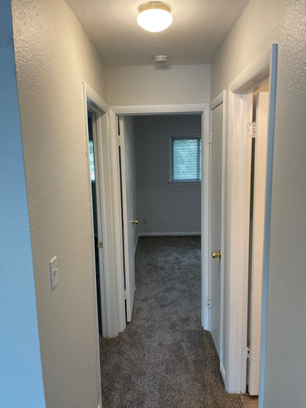 Photo - 2412 Azalea Garden Rd Unit 210