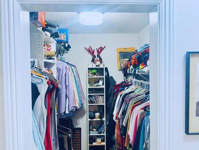 Photo - 3209 Norfolk St