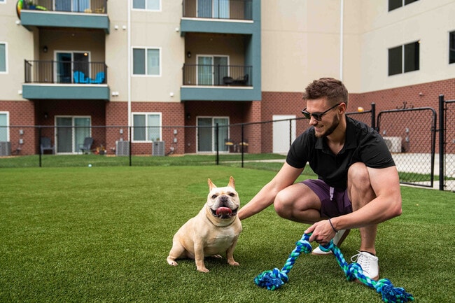 Photo - Crescent Falls