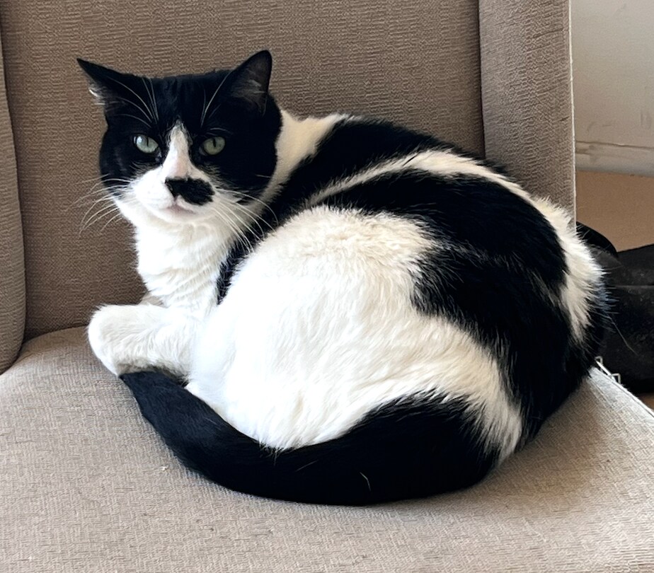 Photo - 14548 W 19th St S