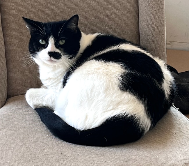 Building Photo - 14548 W 19th St S