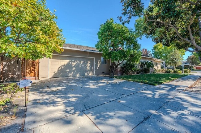 Photo - 245 Alviso St