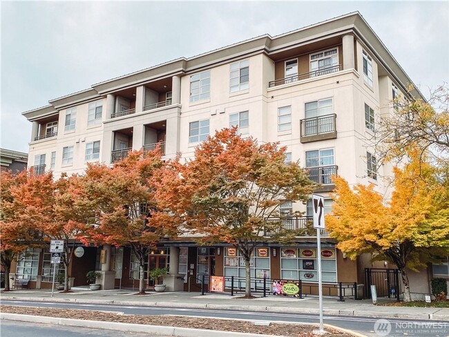 Building Photo - 0Bd/1Ba Bellevue Condo Unit A307