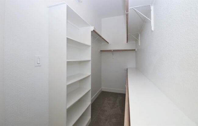 Photo - 3916 Tulane Oak Dr