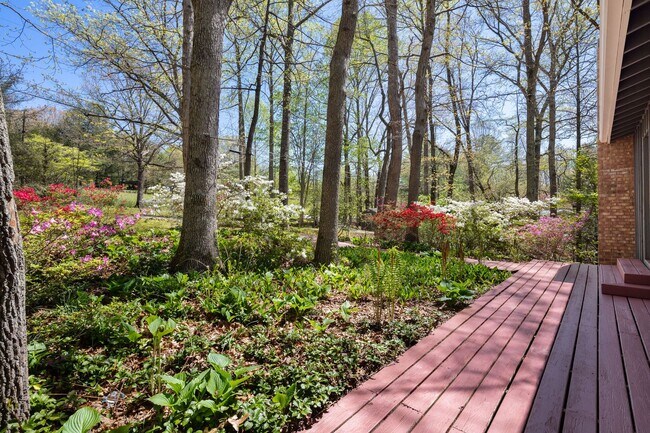 Photo - Lovely Home - Beautiful Wooded Setting