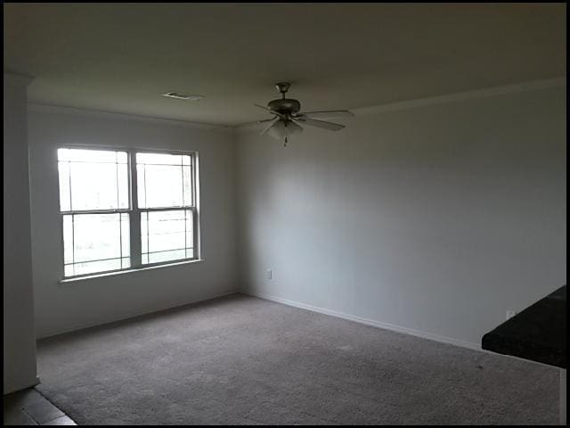 Photo - 1101 Yarrow Dr