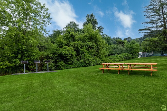 Picnic Area