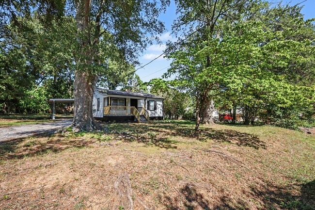 237 Lily St