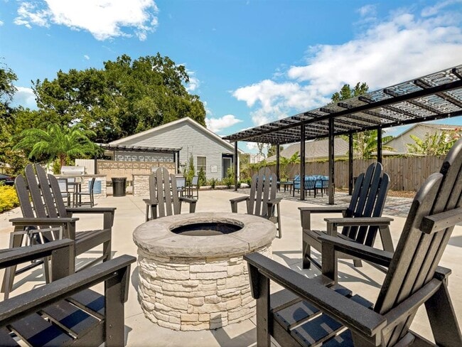 Photo - The Papillon