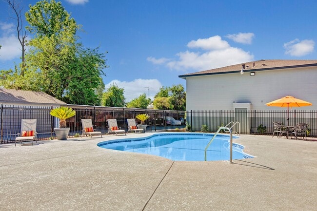 Sparkling Pool