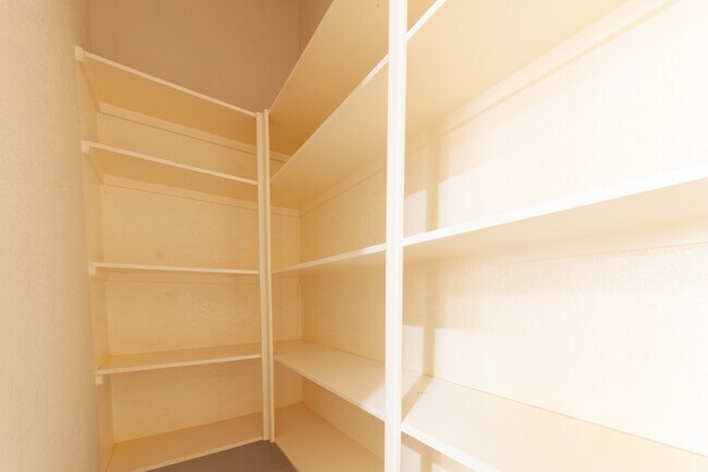 Building Photo - 3206 Holly Thicket Dr