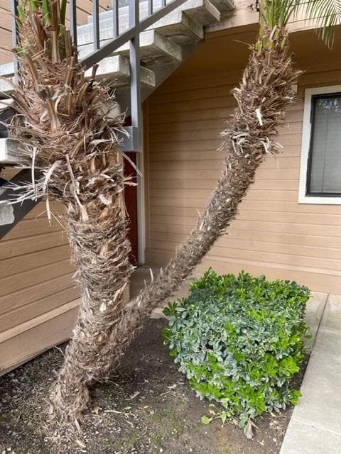 Photo - 7675 N First St Unidad 138