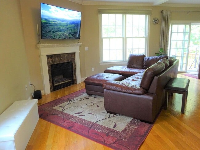 Living Room with Fireplace