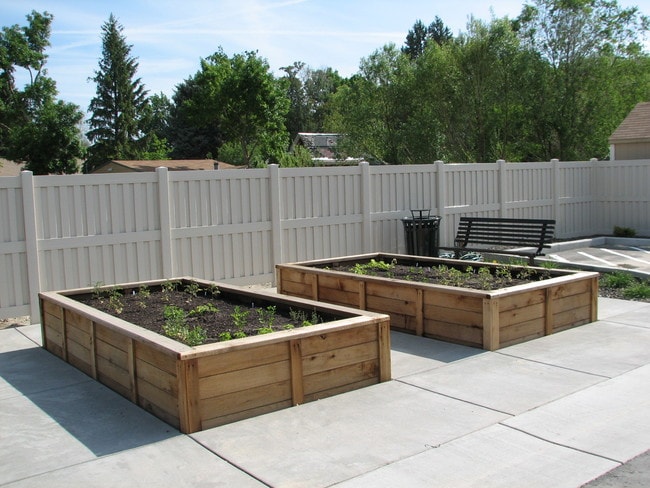 Photo - Vineyard at Eagle Promenade