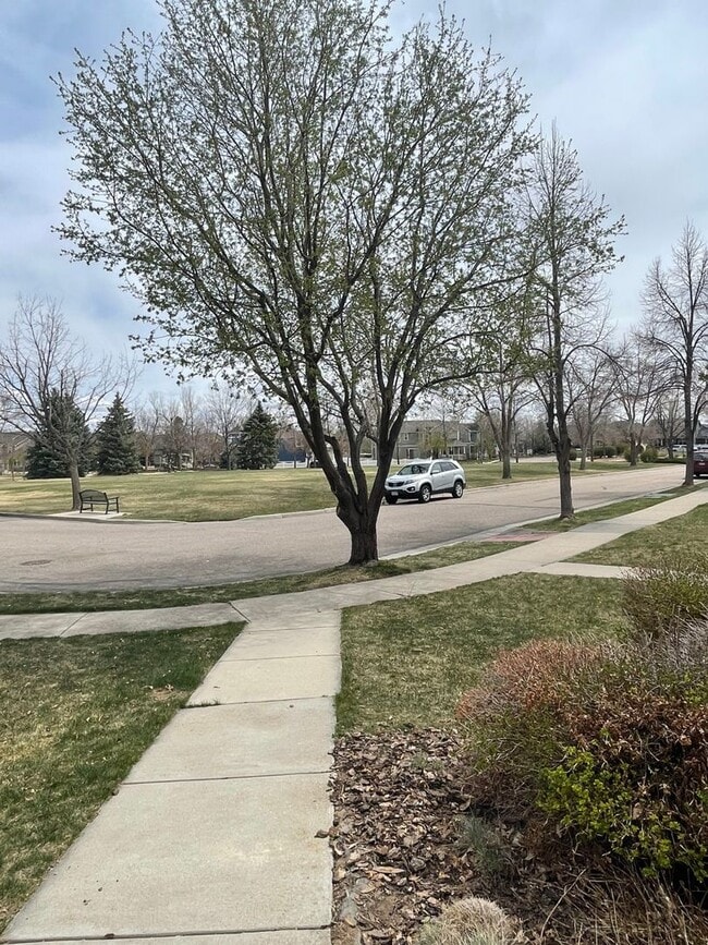 Photo - 2944 Cornerstone Ln