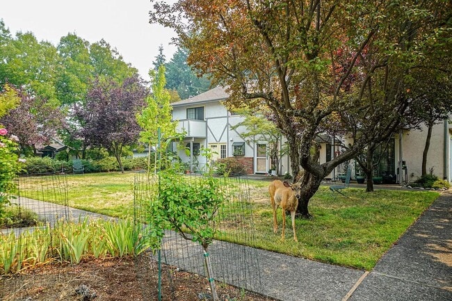 Building Photo - Two bedroom Townhouse near Ashland Community Hospital