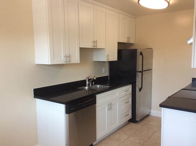 Renovated 1x1 with granite, stainless-stee... - Renovated 1x1 with granite, stainless-stee... Apartment Unit 20