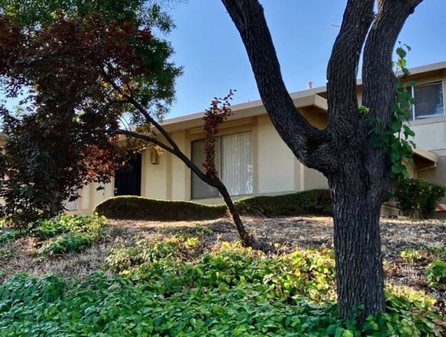 Building Photo - 11580 Garnet Way Rental