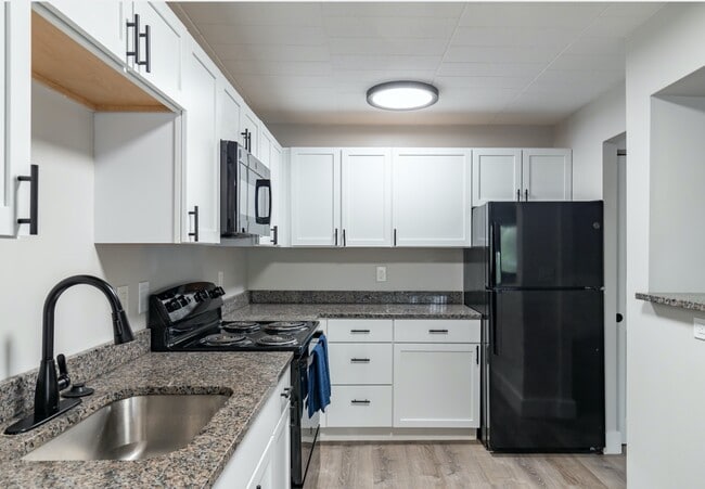1 BR, 1 BA - Luxury Kitchen