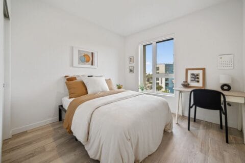 Photo - Solaire Reading