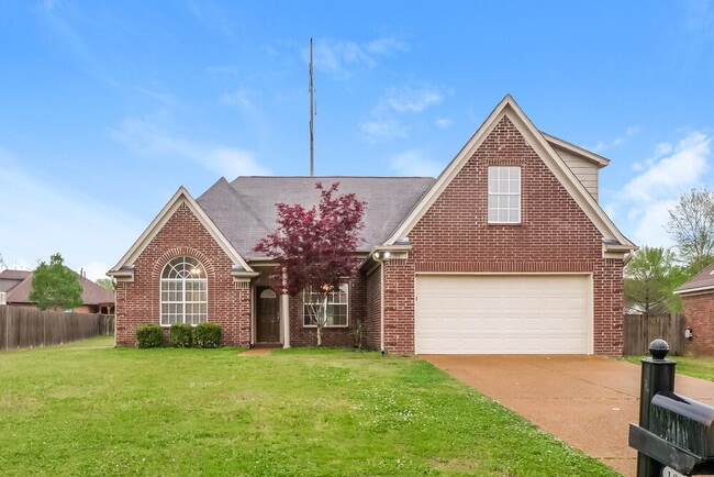 Building Photo - 185 Mossy Springs Dr