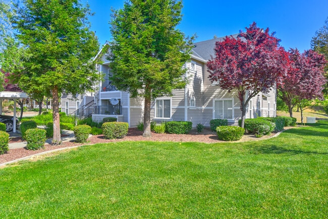 Bay Vista at Meadow Park