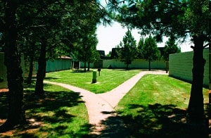 Photo - Sunrise Park