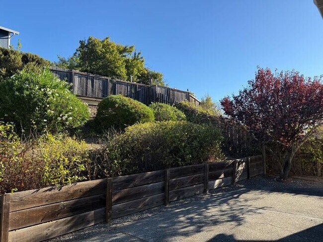 Photo - Newly remodeled single story home walking ...