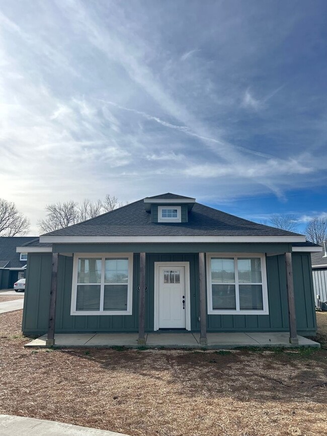 Building Photo - Beautiful newly built home!