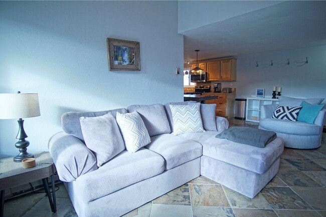 Photo - 1727 River Queen Ln Unit SI ID1564282P