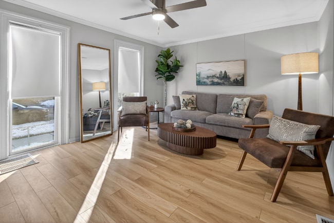 Photo - 38 Hamilton St