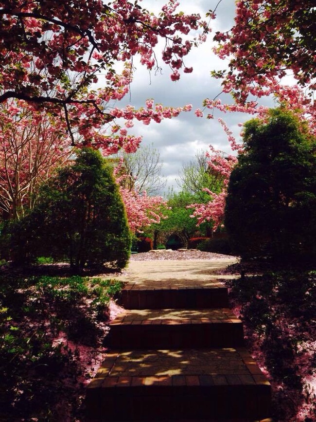 Photo - 24 S Old Glebe Road Unidad Apt 3C