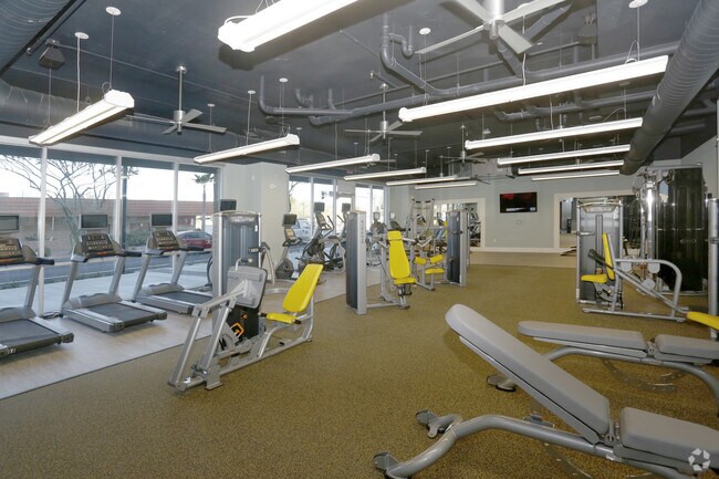 Gimnasio